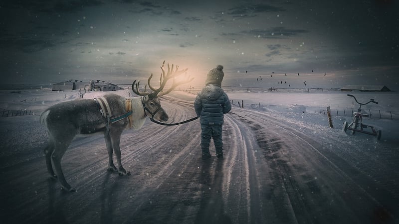 Dream Adventure